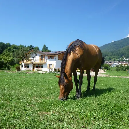 Farm stay Fattoria Dalcastagne *